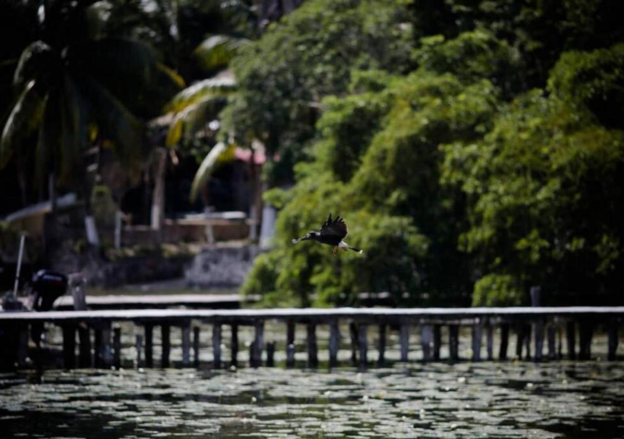 Lagoon Special Suite: Bikes & Kayaks! Bacalar Εξωτερικό φωτογραφία